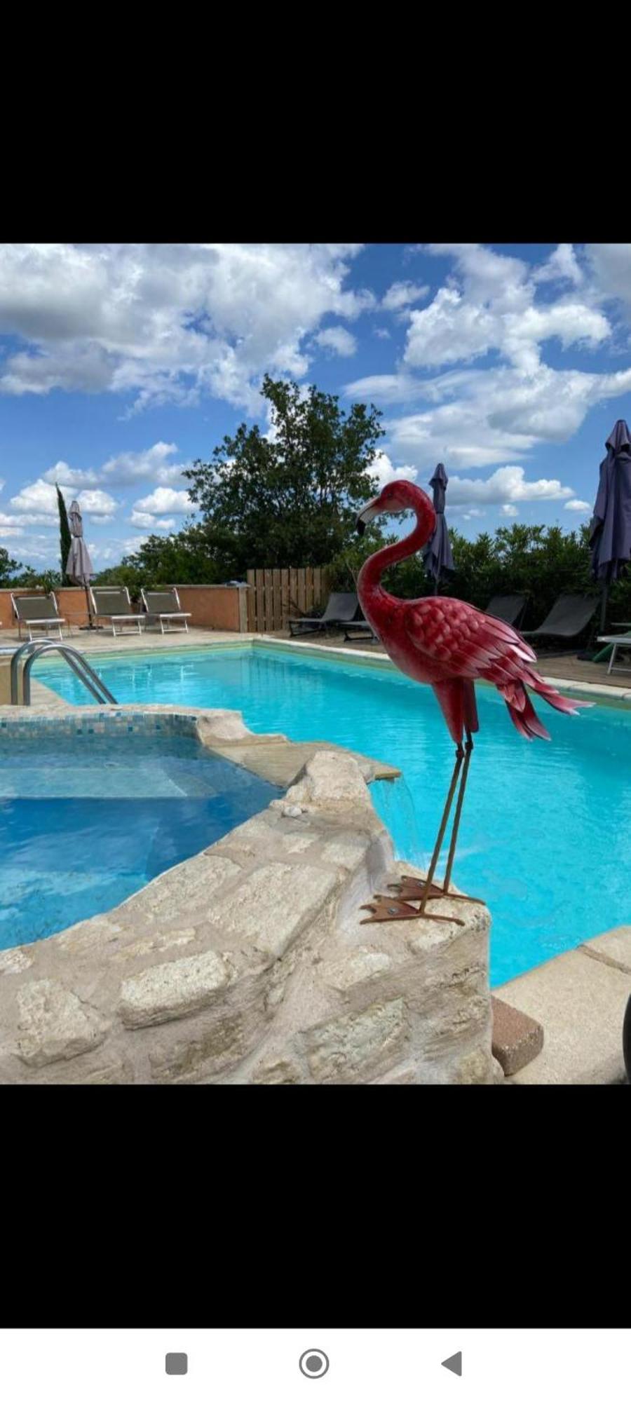 B&B La Vieille Source Saint-Martin-dʼArdèche Værelse billede