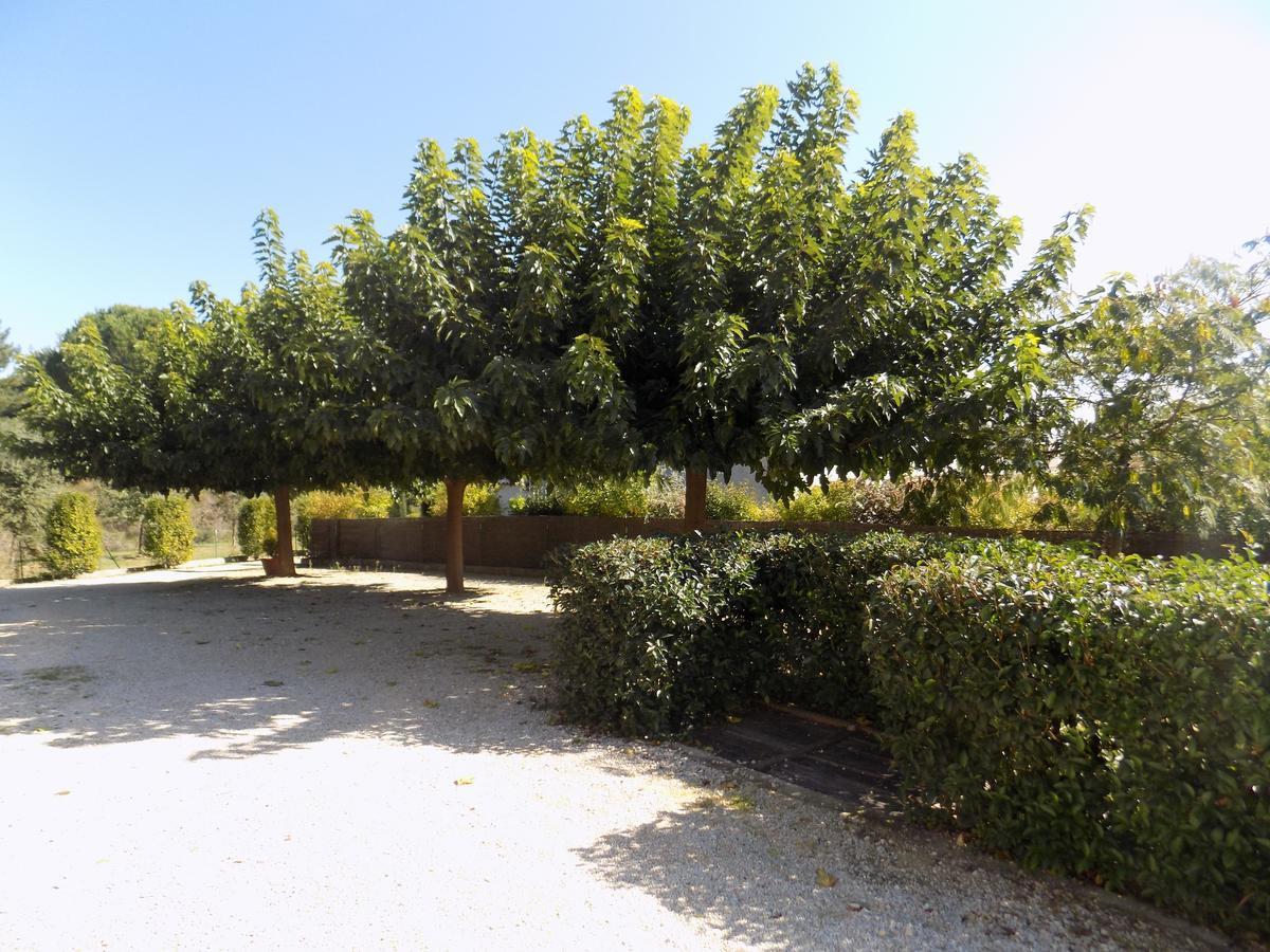 B&B La Vieille Source Saint-Martin-dʼArdèche Eksteriør billede